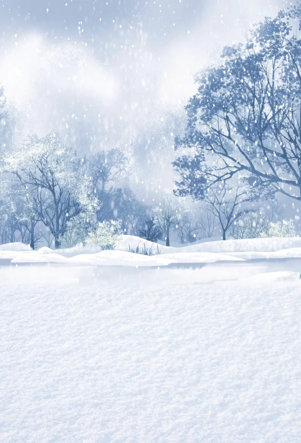 Toile De Fond Hiver Neige 600x300 Cm – Forêt De Pins, Montagne Enneigée – Vinyle Haute Résolution – Pour Photos, Décor Noël, événements
