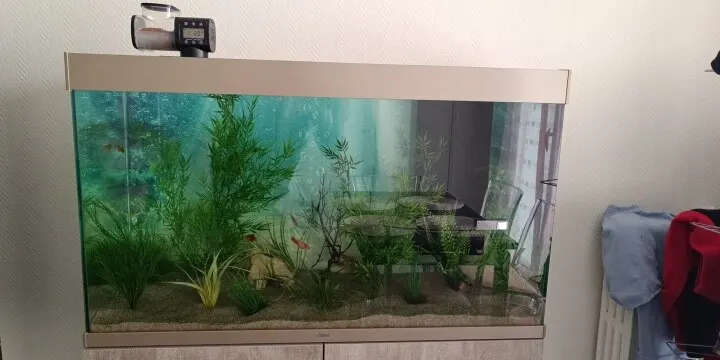 수중 세계 해저 배경 바다 해저 물고기 산호 수족관 물고기 탱크  초상화 사진 배경 사진 스튜디오