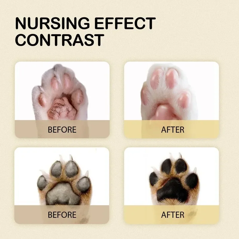 ݷ ƺī  ũ,     û ɾ,   տ  ɾ