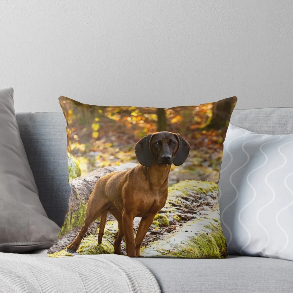 

Dog Log Throw Pillow Cushions Cover Decorative Cushions