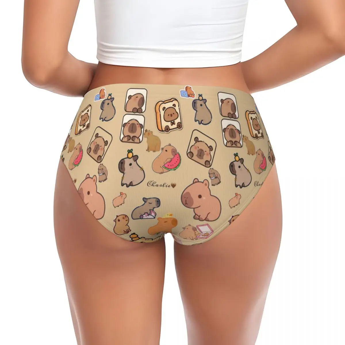 Womens Brief Panties Female Underwear Underpants Capybara