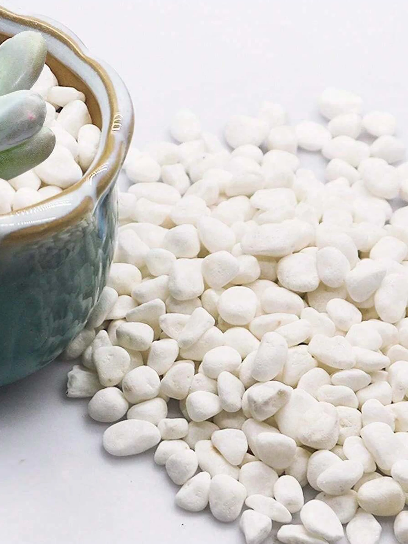 Elegant White Pebble Stones for Decorative Landscaping & Indoor/Outdoor Plant Display