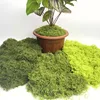 20g/bag Simulation vine model grass microlandscape material Artificial moss fo garden accessories suitable fo lawn decoration 6