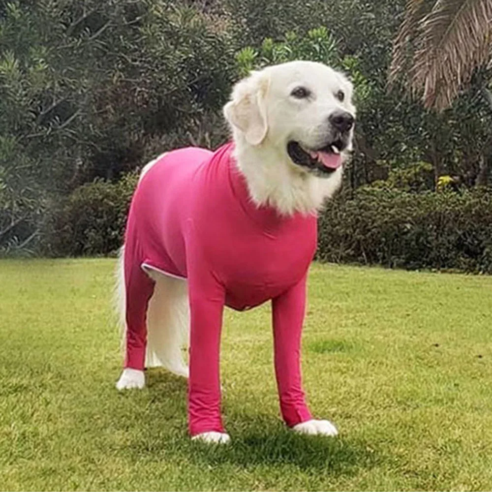 Mono para perro después de la cirugía, traje de recuperación quirúrgica para mascotas, traje anticaída para mujer y hombre, pijama de manga larga con piernas 2