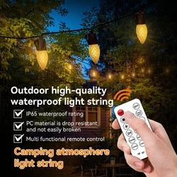 Outdoor LED String Lights with Remote Control and Dimming Feature for Garden, Bedroom, and Party Decoration (Warm White)