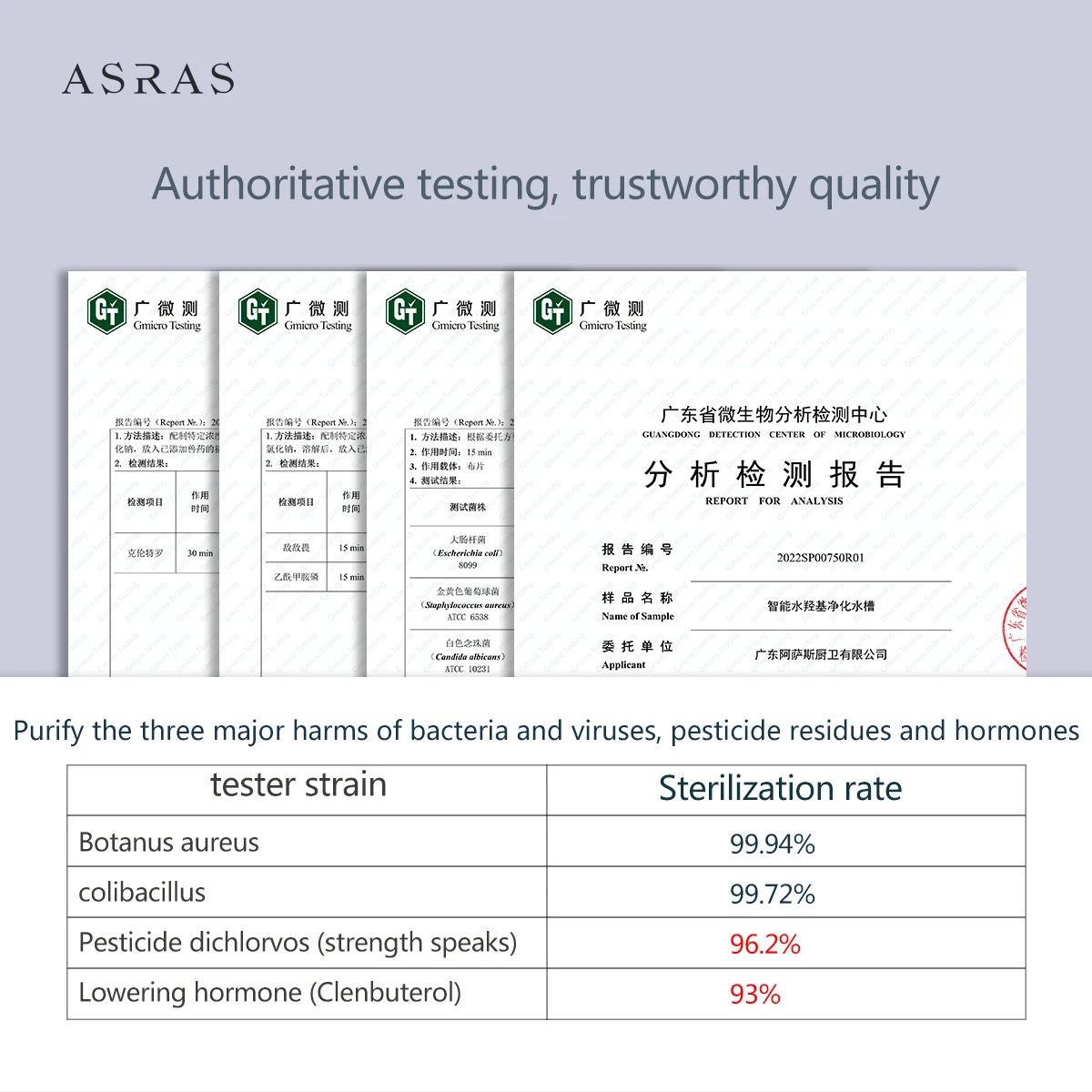 ASRAS-Évier de Purification des Ingrédients de Cuisine, Accessoire Domestique, Gris, Multifonctionnel, Eau Froide et Chaude