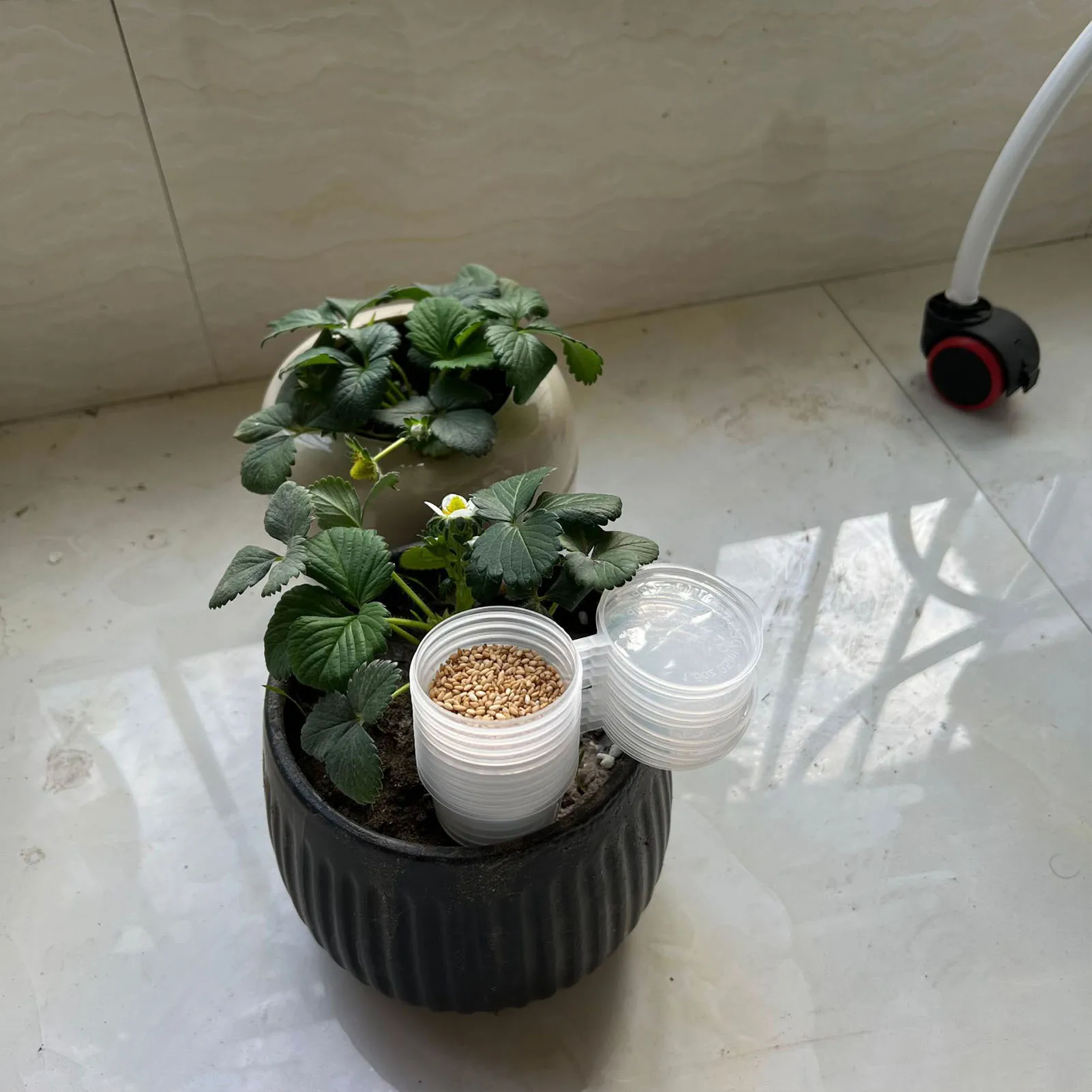 Garden Sowing Seed Dispenser Garden Precision Seeding Sowing Aids for Family Friend Neighbor Gifts 5