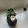 Garden Sowing Seed Dispenser Garden Precision Seeding Sowing Aids for Family Friend Neighbor Gifts 5