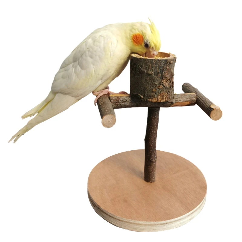 Tiki rope swings, All natural Parrot perches for birds parrots