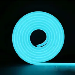 Versatile Neon LED Flexible Silicone Light Strip - 5M 600 Lights for Indoor and Outdoor Use (Ice blue)