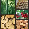 for Sharp Heavy Duty Curved Hand for Tree Pruning Cutting Carpenter Sawing Woodworking Tool 5