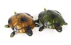 [Funny] Trick electronic pet RC simulation sound & light Tortoise robot model prank toy remote control smart animal kids gift 4