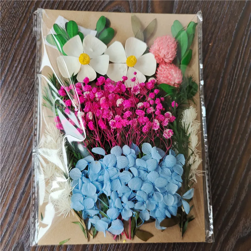 PATIKIL Fiore Pressato Essiccato, 60pz Per Creazioni In Resina Fai Da Te Unghie Artigianali Scrapbooking Gioielli Decorativi Floreali Candele - Foto 6