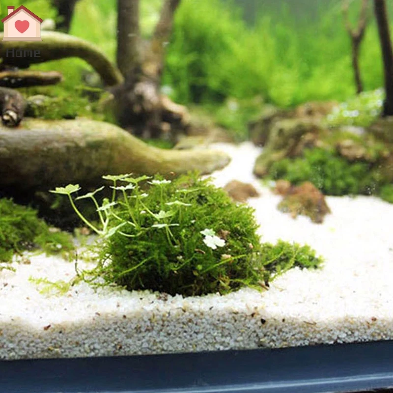 Aquarium Fish Tank Decorations Moss Ball Live Plants Filter Aquatic Pet Supplies