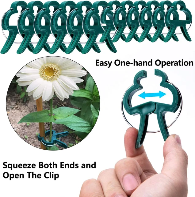10/100pcs Plant Fixed Clips Reusable Garden Greenhouse Bracket Garden Plants Vine Climbing Clamp Flower Tomato Support Fastener 5
