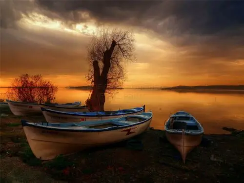 

Фото морской пейзаж, закат, сумерки, лодки, дерево, Художественная печать, Шелковый постер, домашний декор для стен