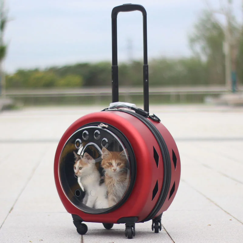 

Clear Transporter Cats Carriers Pet Hamster Handbag Cats Carriers Transporter Carry Mochilas Para Gatos Dogs Accessories