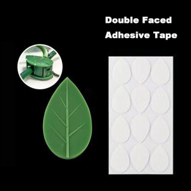 10 db Növényi Hegymászó Fali Klip Láthatatlan Szőlőfal Ragacsos Horgos Növény Támogatja A Szőlő Klipjét - Image 3