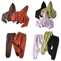 Wholesale Fleece Hoodie with Jogger Pant Sweat Suit Fall Winter 2 Piece Set Tracksuit Women Sports Outfit Two Piece Solid Casual - Image 6
