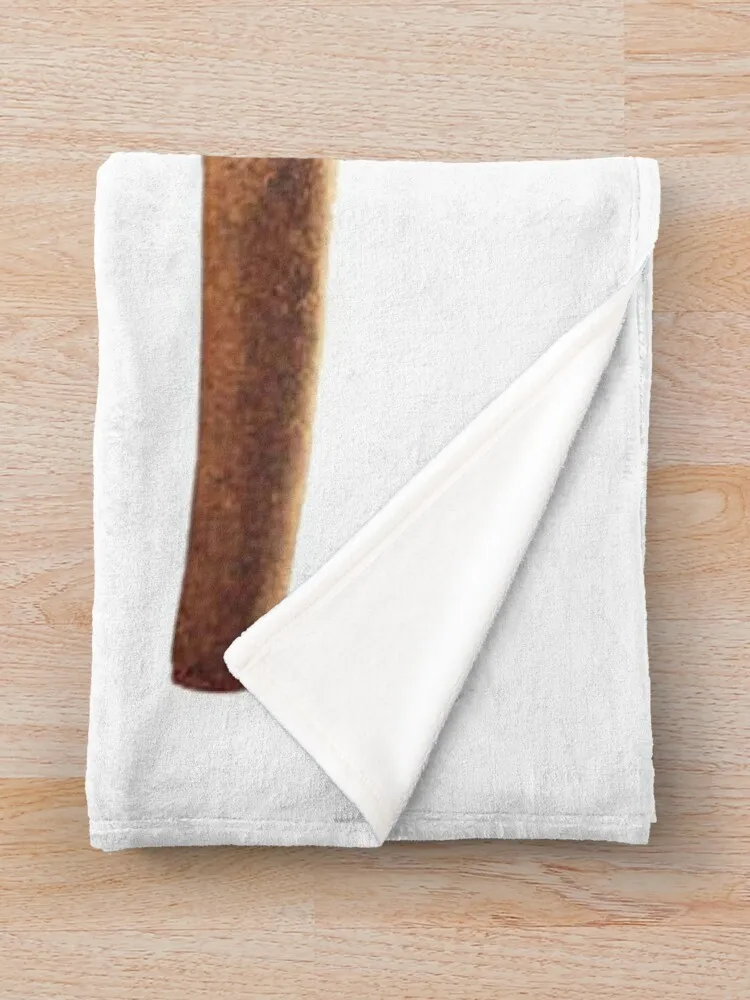  ķ�ο� ���� ������ ���, �ִϸ��̼� ���, �̱� ���