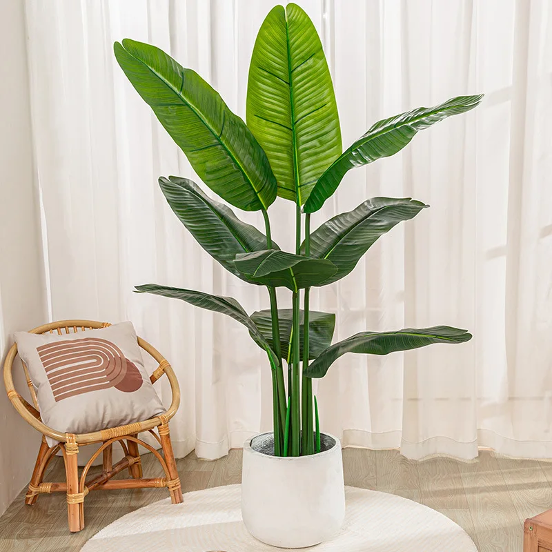 Paradijsvogelplant 'Nicolai' - P19cm - | Hét Tuincentrum van het Noorden | Volop inspiratie