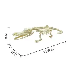 Dinosaur Fossil Skeleton Action Figure Collection - Creative DIY Assembly Toy (Suchomimus Skeleton)