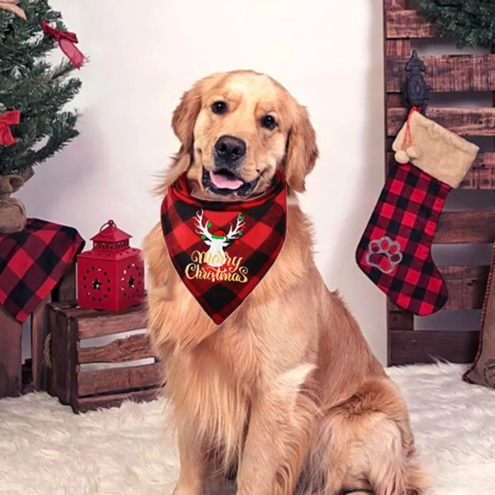 Bandana Personnalsé Pour Chen Bleu Avec Mprmé Flocon De Nege Blanc