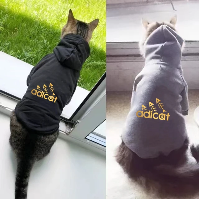 fashion cat cool clothes autumn winter puppy kitty golden letter printed hoodies accesorios kitten clothes jumper designer fashion cat cool clothes autumn winter puppy kitty golden letter printed hoodies accesorios kitten clothes jumper designer