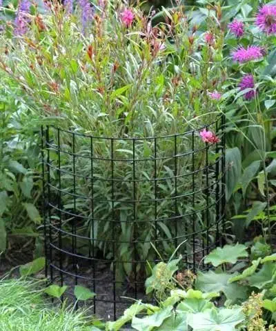 Erva Bunny Barricades 10pk - Sturdy & Easy to Assemble - Protect Your Plants, Vegetables and Shrubs from Pests - Made in The USA