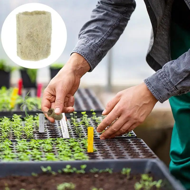 50pcs Starter Plugs Cubes Growing Medium Starter For Cuttings Cloning Plant Propagation And Seed Starting