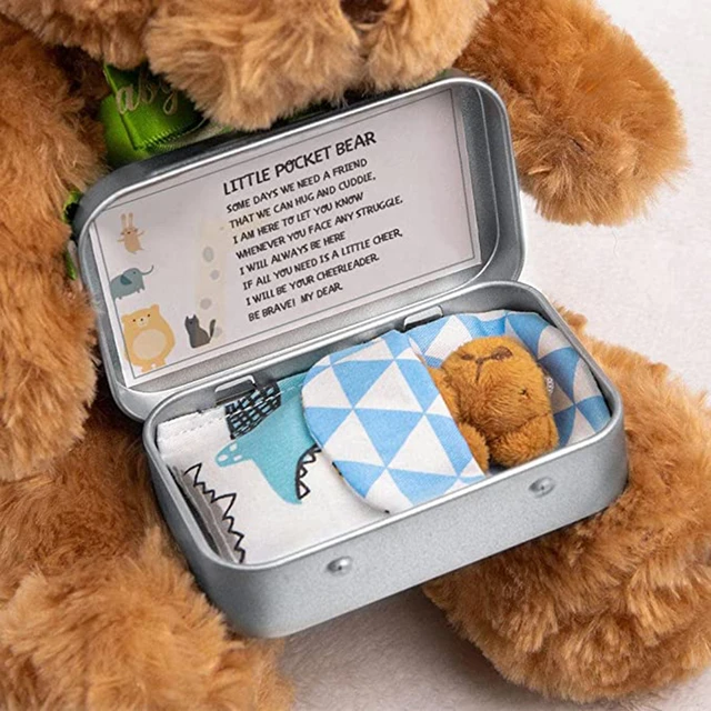 1st Day of School Pocket Hug Anxiety Bear Pocket Bear Bear 