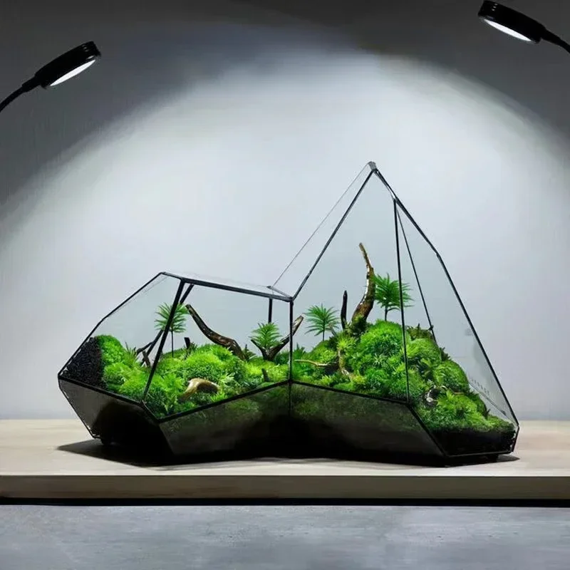 Micro Landscape Glass Vase Rainforest Terrarium Moss Planter Eco Vase Home Decor Geometric Glass Flower Room Hydroponic Vase
