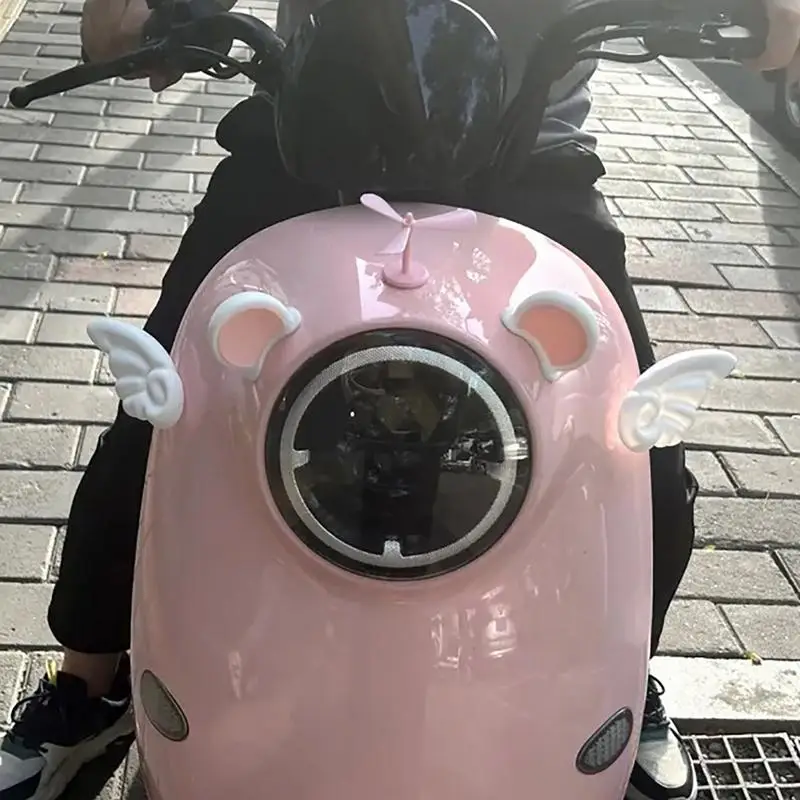 Рисунок 3 - Аксессуары для шляпы