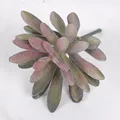 1Pcs-10