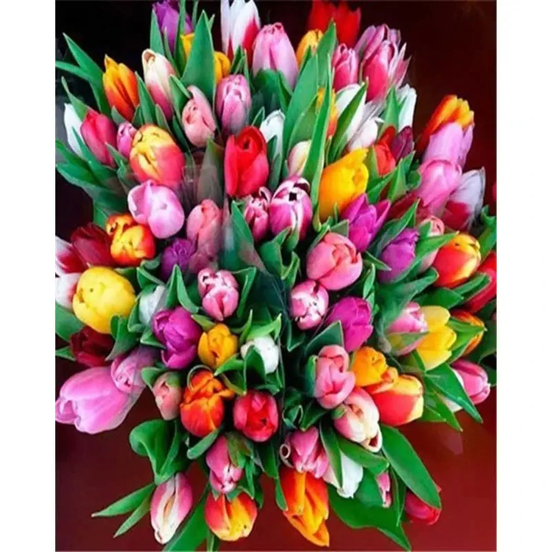 

50083140-Tulip diy digital oil painting acrylic flower painting explosion hand-filled landscape painting