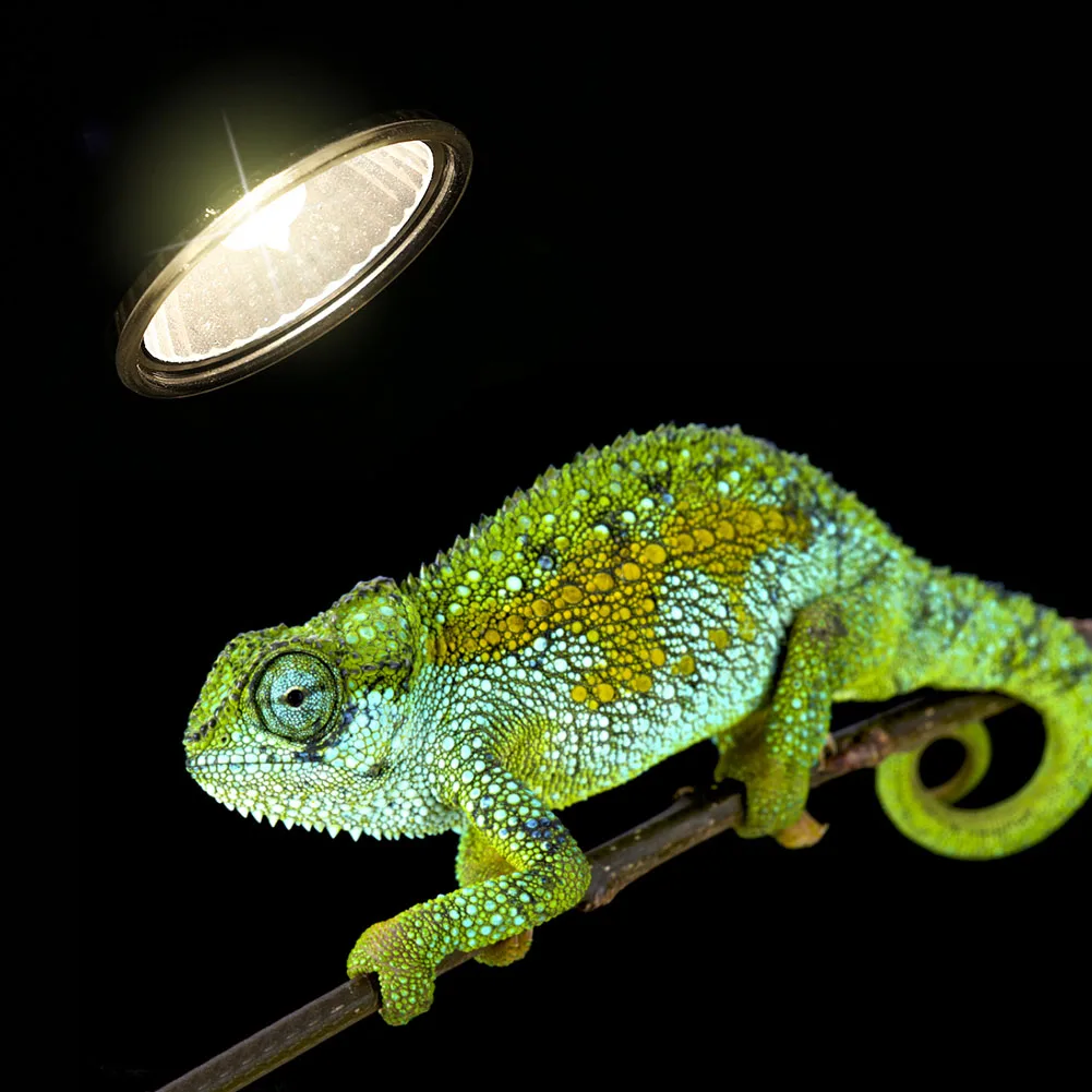 Reptile-Lamp-25-50-75W-UVA-UVB-3-0-Pet-Heat-Lamp-Bulb-Turtle-Basking-UV.jpg