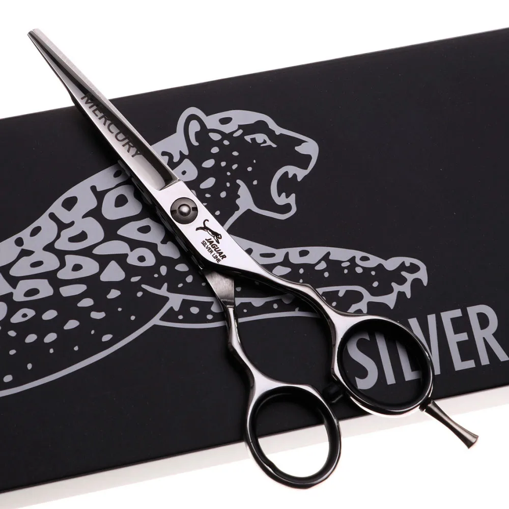 

Professional Hairdressing Scissors 5.5 Inch Hair Cutting Scissors Barber Shears