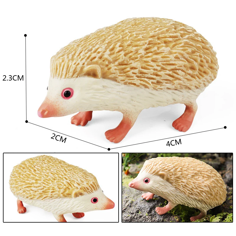 Hedgehog figure 8