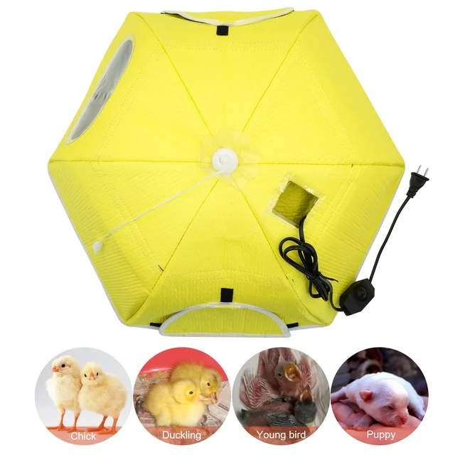 Electric Chick Brooder Heating Cover Chick Cage Heater Chicken Warmer Easy To Install Convenient Time-saving 110V/220V 2