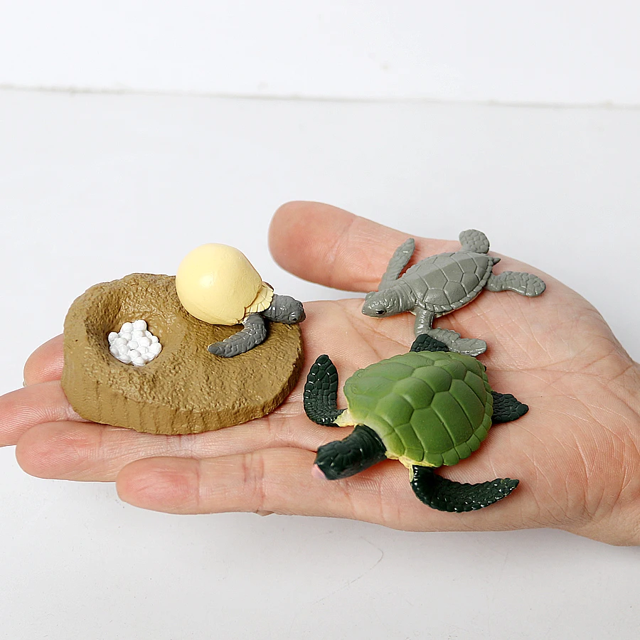 Realistic Sea Turtle Growth Cycle Educational Toy and Cake Topper Gift