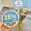 Zen Pupper Deckies Parody Dog Toy - Plush Squeaky and Crinkle Funny Dog Toy - Drool Mint 1