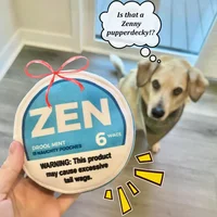 Zen Pupper Deckies Parody Dog Toy - Plush Squeaky and Crinkle Funny Dog Toy - Drool Mint 1