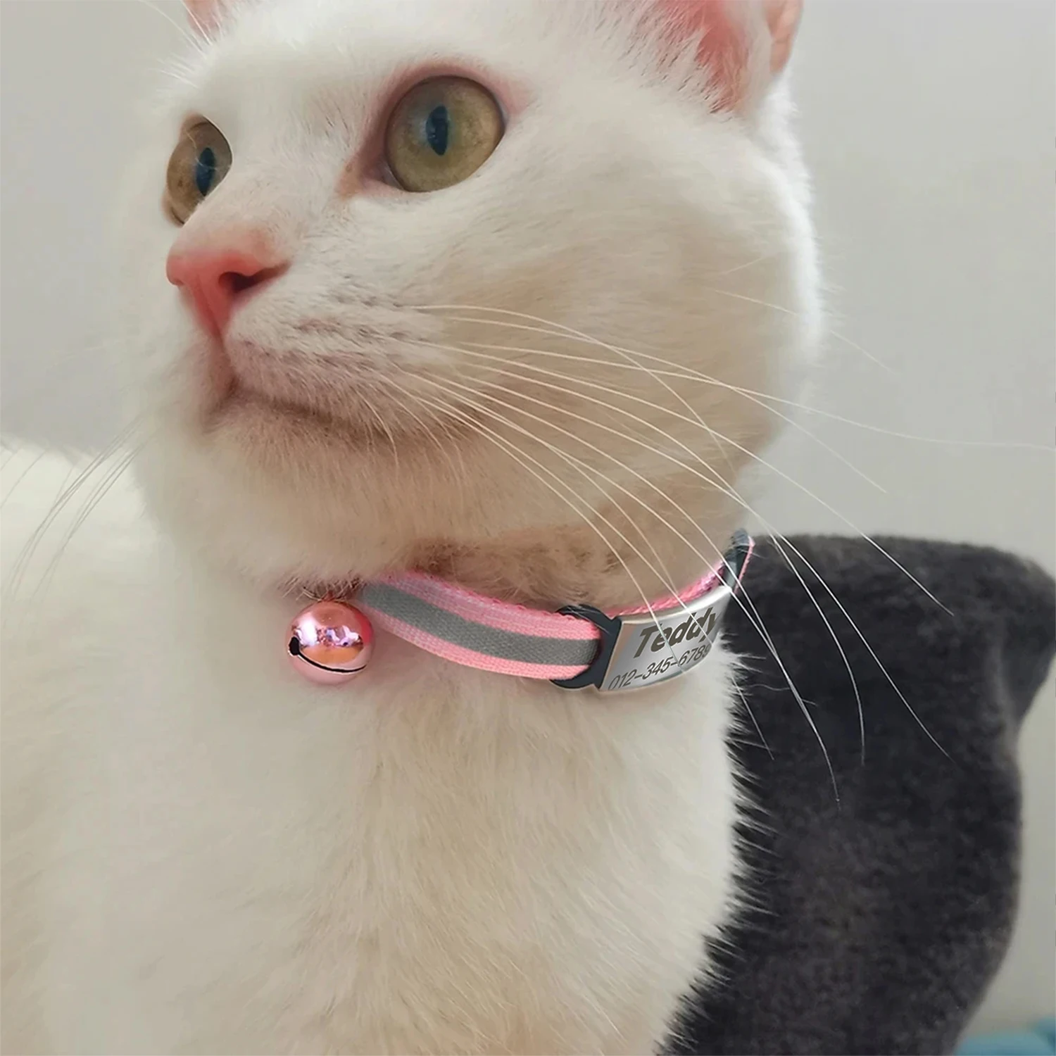 Personalized Reflective Pet Collar with Engraved ID Nameplate and Bell