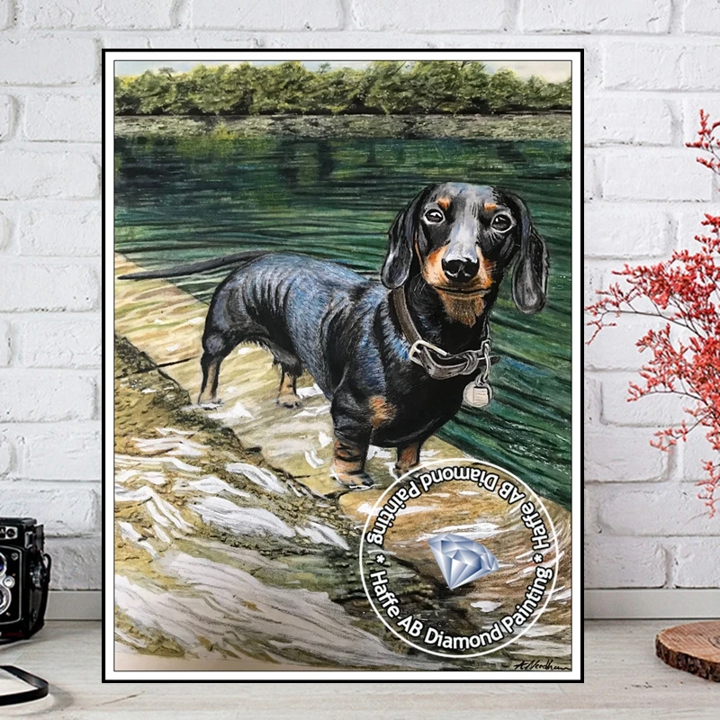 Wire Haired Dachshund Dog - Diamond Painting - Diamond Painting