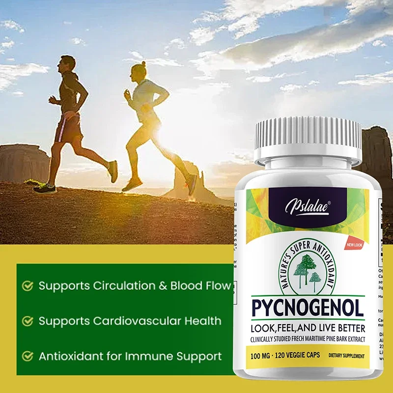 Pycnogenol Supplement Promote Skin Elasticity and Moisture Anti-oxidation Support Blood Circulation