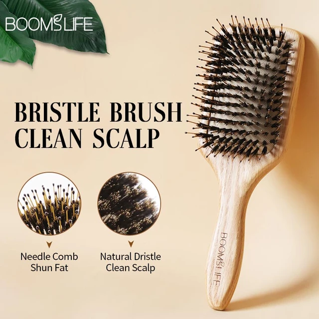 Brush Cleaning Combs Hair Brushes  Hair Brushes Cleaner Combs - Hair  Brushes - Aliexpress