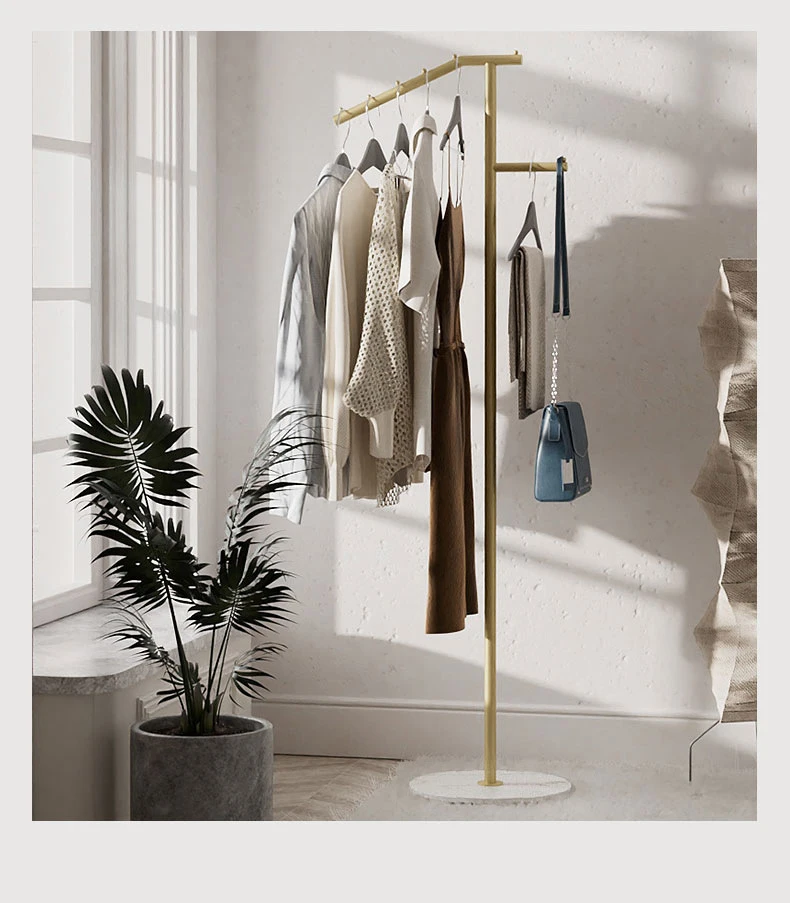 Entering Living Room Vertical Floor Standing Clothes Metal Rack