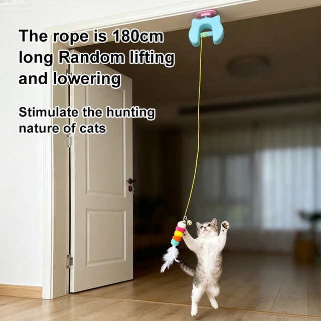 New Type Of Electric Cat Toy with 2 Ropes Smart Hanging Door Auto Swing Feather Toy A Self-entertainment And Cat-teasing Wonder 2