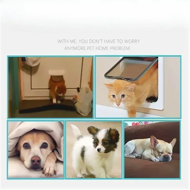 1PC Cat Dog Flap Door with 4 Way Locking Kitten Small Pet Dual Entry and Exit Door Weatherproof Pet Safety Doors 5