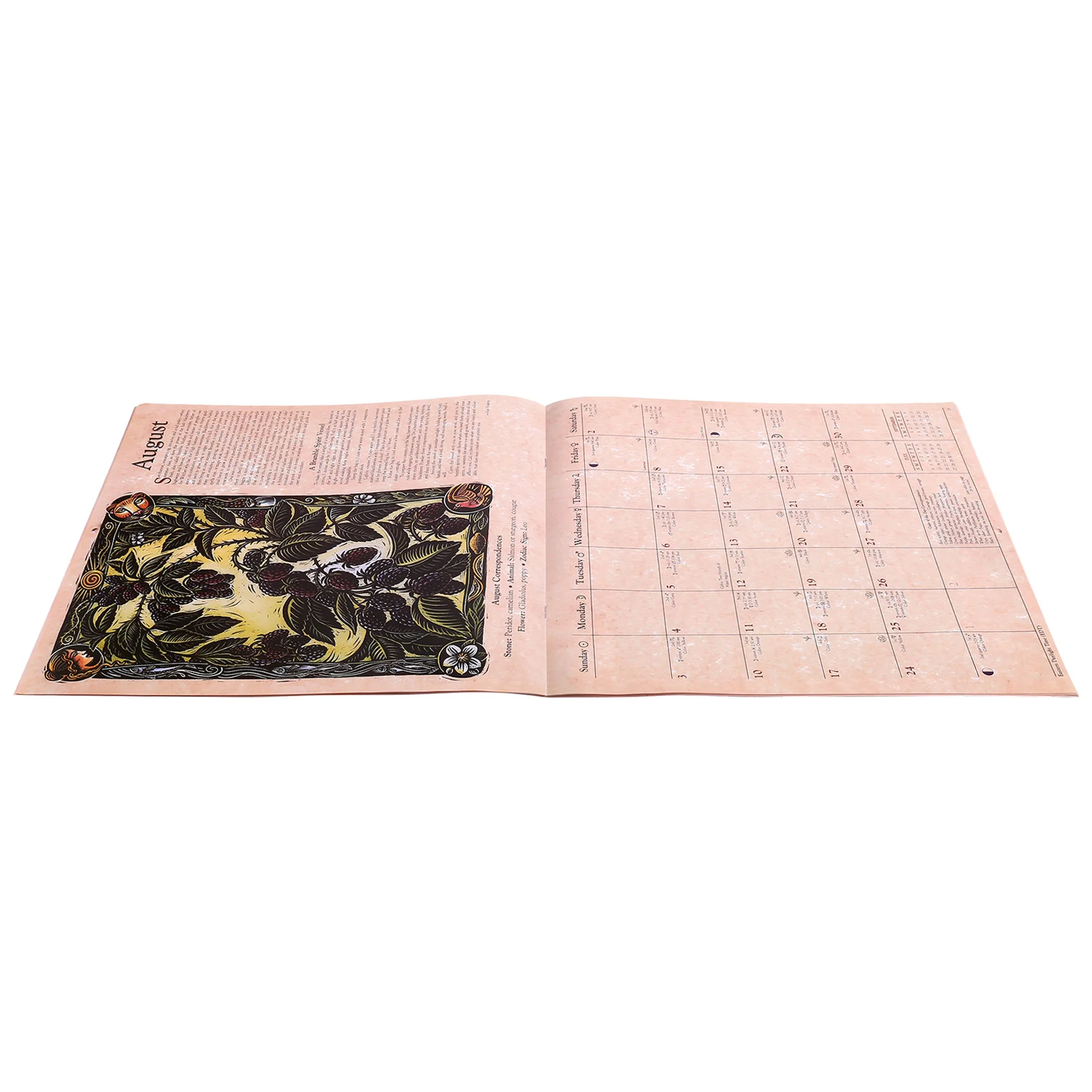 Witches Calendar Articles Decor Home Calenda Witches' Calenda Durables